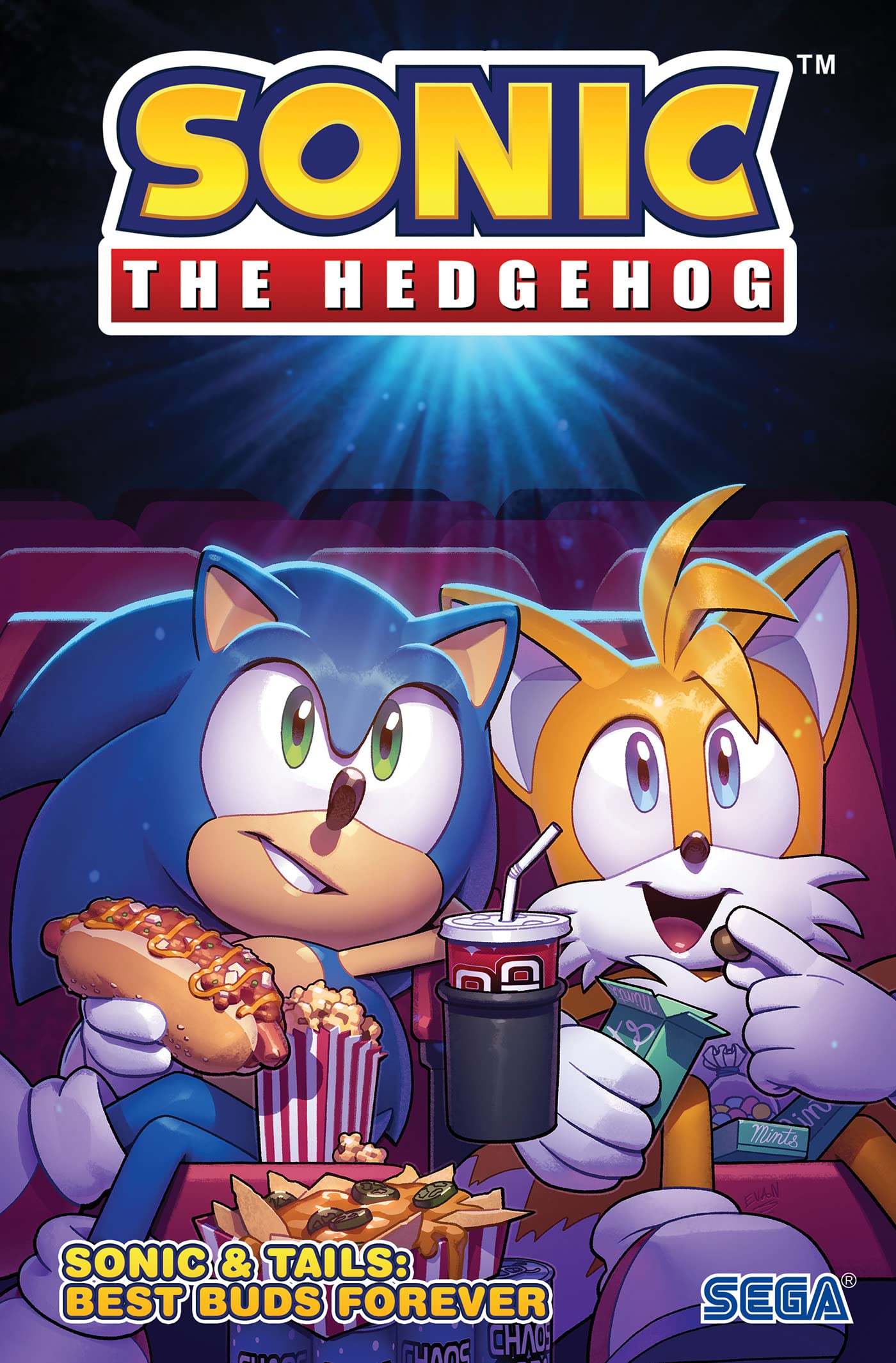 Sonic the Hedgehog Sonic & Tails Best Buds Forever - - TX Corrections Bookstore